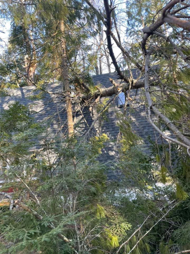 PoulinTree storm damage