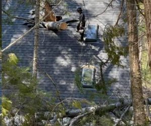 PoulinTree storm damage 2