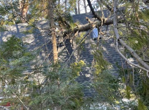 PoulinTree storm damage